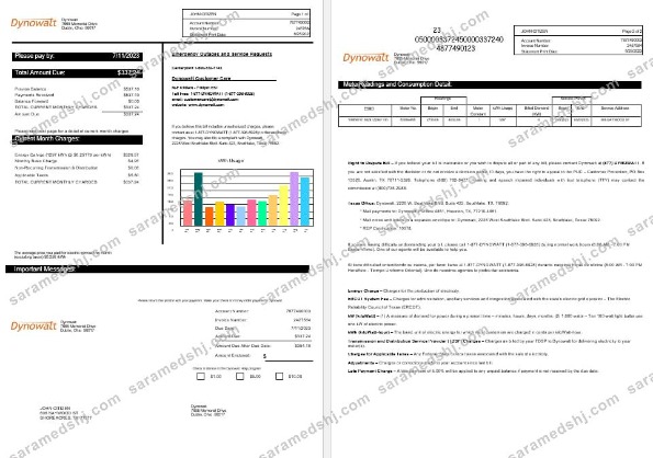 New York  Dynowatt electricity utility bill Word and PDF formats